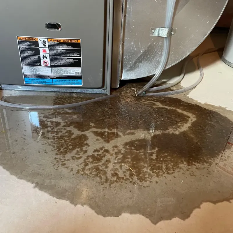 Appliance Leak Cleanup in Taney County, MO