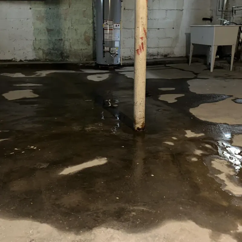 Emergency Water Extraction And Removal in Taney County, MO